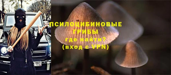 спиды Абаза