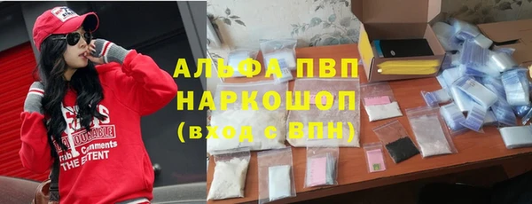 спиды Абаза