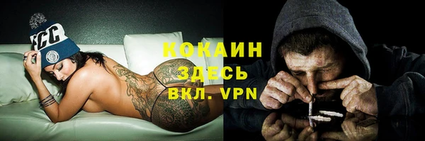 бошки Грязовец
