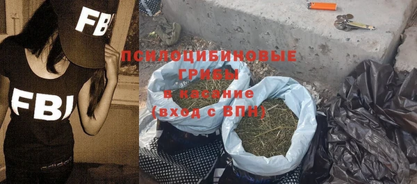 ешки Сафоново