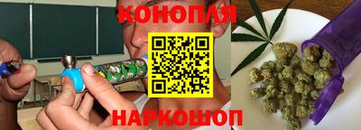 шишки Кандалакша