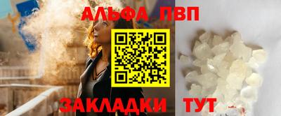 шишки Кандалакша